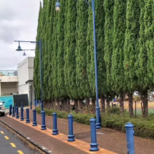 Row of tall, slender Italian Cypress trees lining a street with blue bollards and vintage-style lampposts. Yellow road markings add visual interest. Cloudy sky above.