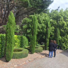 Two women stroll along a gravel path lined with vibrant green Italian cypress trees and meticulously trimmed hedges. Water features add tranquility to this elegant garden landscape.
