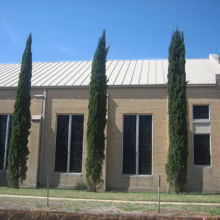 Tan brick church exterior with tall, narrow windows and towering Italian cypress trees against a clear blue sky. The building has a light-colored metal roof.