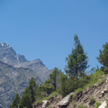 Rugged mountain landscape with snow-capped peaks under a clear blue sky, framed by green trees clinging to a rocky hillside. A serene and majestic view.