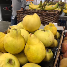 Pile of bright yellow quince fruit in a crate, with bananas in a wicker basket in the background. A person wearing gloves and a gray shirt stands nearby. Fresh, seasonal produce.