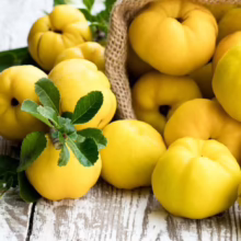 Pile of bright yellow quince fruit spilling from a burlap sack onto a weathered white wooden surface, some with green leaves still attached.