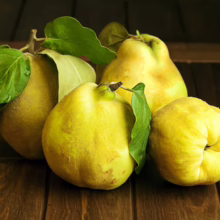 Four ripe, golden-yellow quince fruits with green leaves sit on a dark wooden table, showcasing their unique shape and texture.