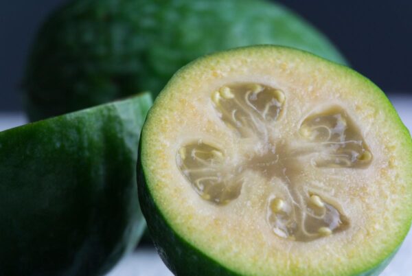 <i>Feijoa sellowiana</i> 'Den's Choice'