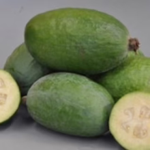 Feijoa sellowiana ‘Mammoth’ (Feijoa) cut fruit.