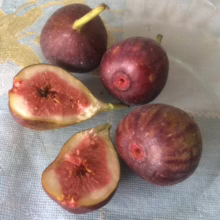 Fresh figs on a blue patterned cloth, including whole ripe figs with deep purple skin and halved figs revealing their pink flesh and seeds.