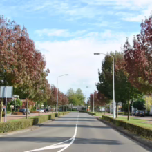 A tranquil street lined with trees in autumn colors leads into the distance under a bright, partly cloudy sky. Neat hedges and streetlights add to the suburban scene.