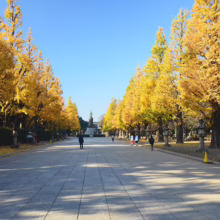 Avenue of vibrant golden ginkgo trees in autumn, lining a paved pathway with people strolling towards a distant monument under a clear blue sky.