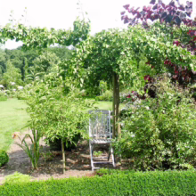 Garden scene with a white chair nestled under a tree trained to form a shady canopy. Green lawn, manicured hedges, and colorful foliage create a tranquil and inviting outdoor space.