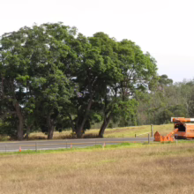 Lush green trees line a roadside next to a field of dry grass. An orange Asplundh tree trimming truck parks nearby, ready for vegetation management.