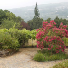 Lush Portuguese garden with a vibrant pink crape myrtle tree in full bloom. Stone pathway, green foliage, and distant hills create a tranquil landscape.