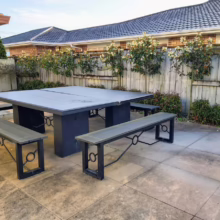Michelia 'Fairy Cream' (Fairy Magnolia) in an outdoor area.