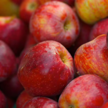 Pile of ripe, red apples, some with yellow hues, filling the frame. Fresh fruit with speckled skin, perfect for healthy snacks and autumn recipes.