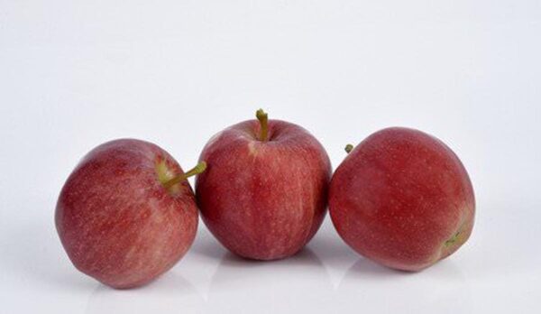 <i>Malus domestica</i> 'Galaxy'