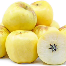 Pile of pale yellow, ripe Golden Russet apples, one cut in half to show the star-shaped core. These heirloom apples are known for their unique flavor and texture.