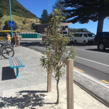 A young tree, supported by wooden posts, stands on a sunny seaside promenade. A bench, street sign reading "Turn Left", and distant mountain add to the coastal scene.