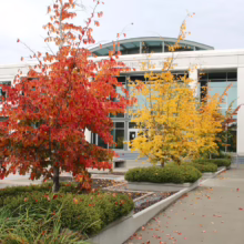 Autumn at City Hall: Vibrant red and yellow trees line the walkway to the modern municipal building, showcasing fall colors in an urban setting.