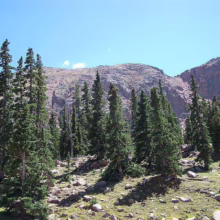 Lush green evergreens dot a rocky hillside leading up to rugged mountain peaks under a clear blue sky. Colorado's natural beauty on full display.