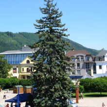 Tall evergreen tree stands in a town square with buildings and a mountain backdrop under a clear blue sky. People stroll around, and a tent is set up near a fountain.