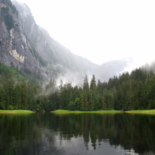 Still lake reflects a misty mountain landscape with evergreen trees. Fog hangs low, creating a serene and secluded scene.
