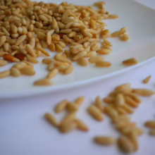 Close-up of pine nuts scattered on a white plate and surface, showcasing their elongated shape and light golden color. Perfect for recipes or illustrating healthy snacks.