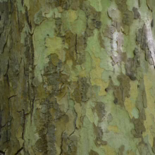 Neatly folded colorful towels stacked on a shelf, perfect for linen closet organization and home decor.