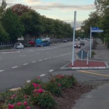 Street view of Hardie St with a blue tanker truck parked on the side of the road. Pink roses bloom in the foreground, adding a touch of color to the urban scene.