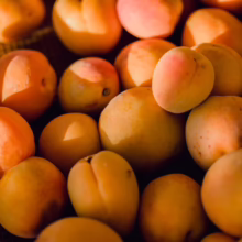 Pile of ripe, golden apricots bathed in warm sunlight. Freshly harvested fruit with hints of red, perfect for summer recipes.