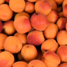 Pile of fresh, ripe apricots. The orange-red fruit are smooth-skinned and round, filling the frame with warm, inviting color.