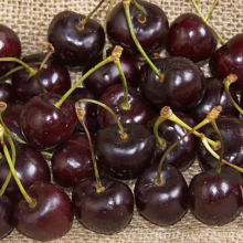 Deep red, ripe Cherry ‘Dawson’ with fresh stems, displayed on a textured burlap surface. Perfect for snacking or baking.
