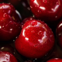 Close-up of glistening, deep red cherries covered in water droplets. The fresh fruit appears plump and juicy.