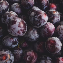 Pile of ripe, dark purple plums with a dusty bloom. Close-up shot highlighting the plums' rich color and texture.