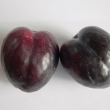 Two ripe, dark purple plums side-by-side on a white surface, showcasing their smooth skin and natural cleft. A fresh, healthy fruit option.