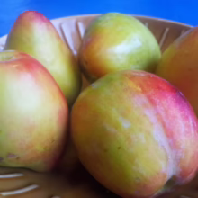 Bowl of ripe pluots, a vibrant mix of green, yellow, and red hues, showcasing their smooth skin and juicy appeal.