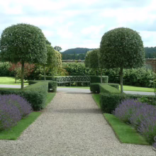 Gravel path lined with lavender and manicured hedges leads to a decorative bench in a formal garden. Topiary trees add a touch of elegance to the landscape with green hills in the background.