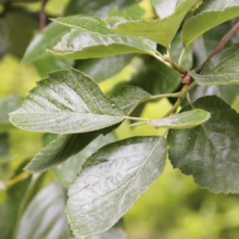 Stack of folded towels in a bathroom, showcasing home decor and organization. Colors range from light blue to dark gray.