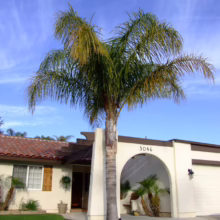 Palm tree in front of a California house with a red tile roof and white stucco walls. The house number "3046" is visible above an arched entrance. Lush green lawn in the foreground.