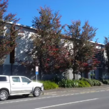 Silver pickup truck parked along a street with autumnal trees lining a modern building. Greenery grows along the building's base under a clear blue sky.