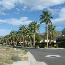Palm Springs street scene with tall palm trees lining the road under a bright blue sky. Desert landscape and mountains visible in the background.