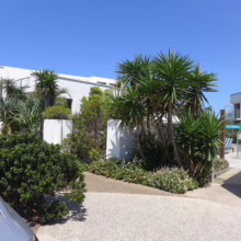 Modern white building surrounded by lush tropical landscaping, including palm trees and manicured shrubs. A light-colored driveway leads to the entrance. Sign reads "Bayview carpark access via bay lane behind complex.