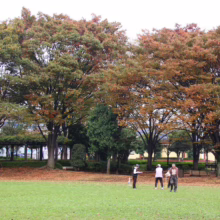 Autumn scene: Three people walk across a green lawn in a park, surrounded by trees with leaves turning orange and brown. Benches line the background.